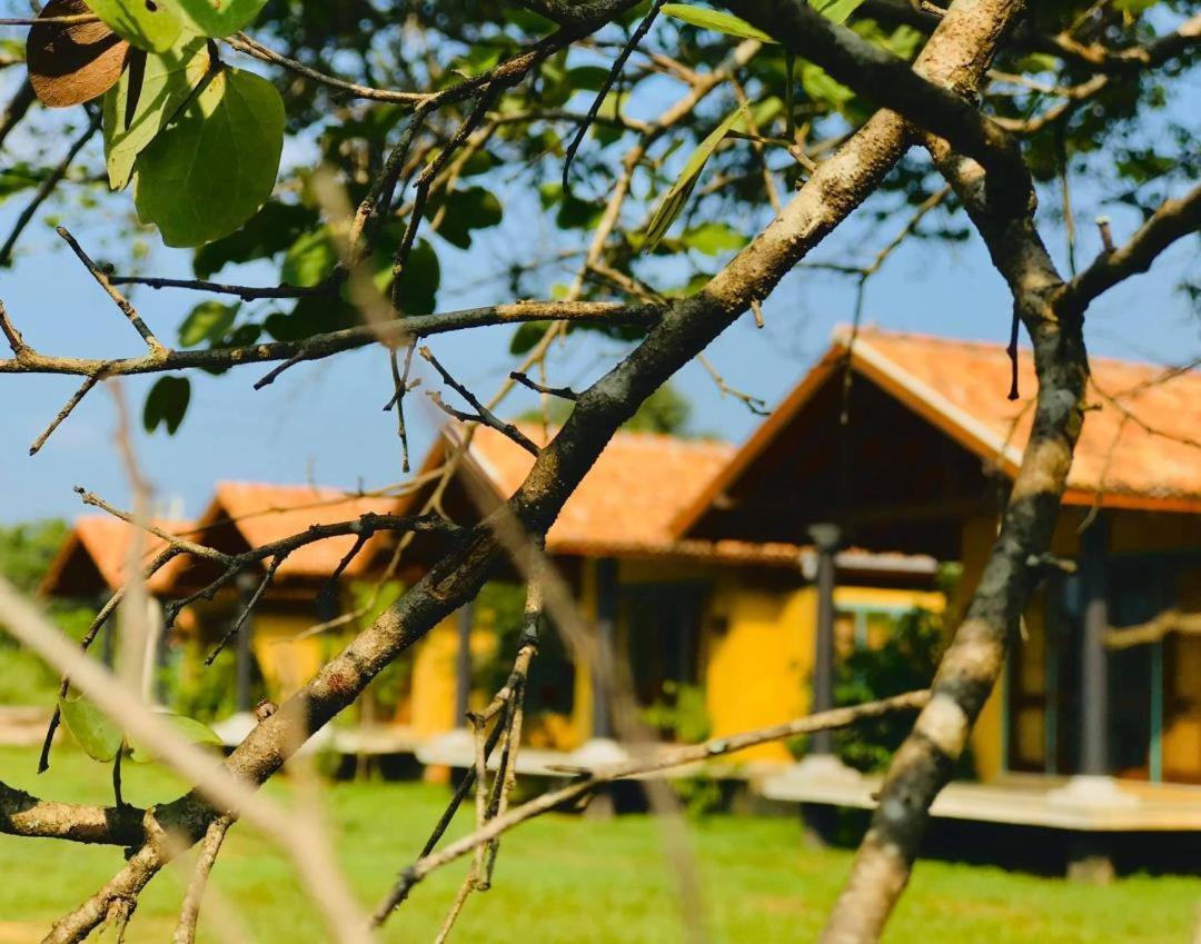 Kumbukgaha Villa Сигирия Екстериор снимка