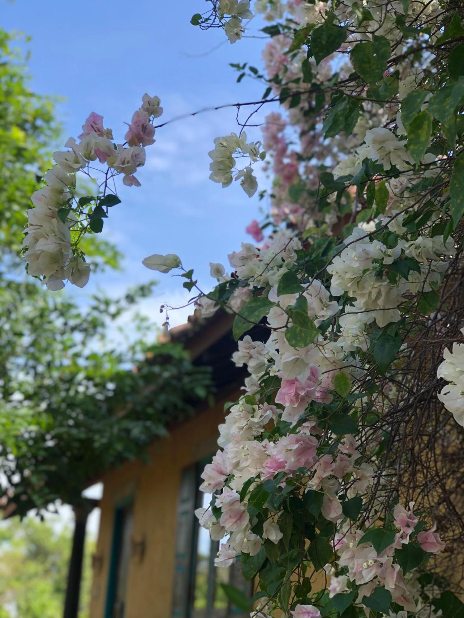 Kumbukgaha Villa Сигирия Екстериор снимка